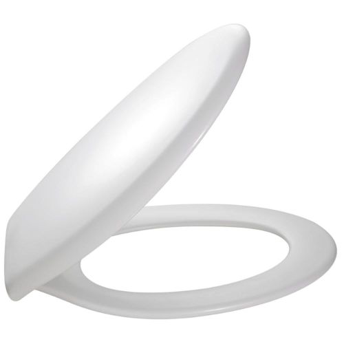 ABATTANT BRIVE POUR WC AU SOL